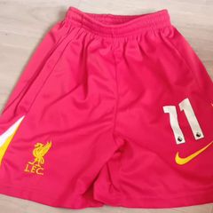 Boys LFC Nike Shorts