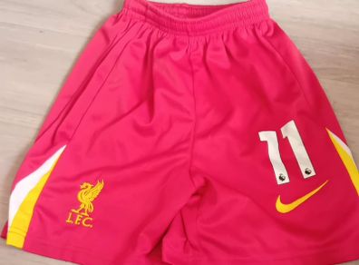 Boys LFC Nike Shorts