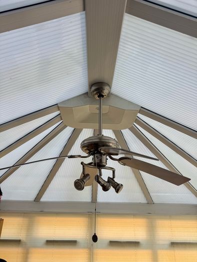 Ceiling fan with lights