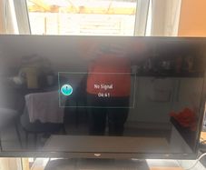 bush Tv