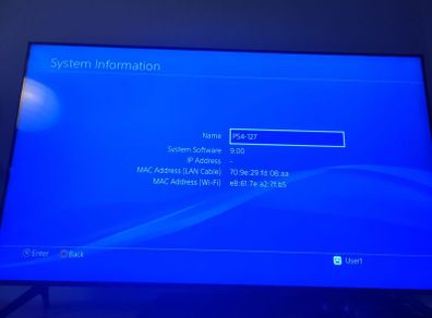 ps4 with system software 9.0