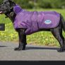 New Weather Beeta Dog Coat Image 5