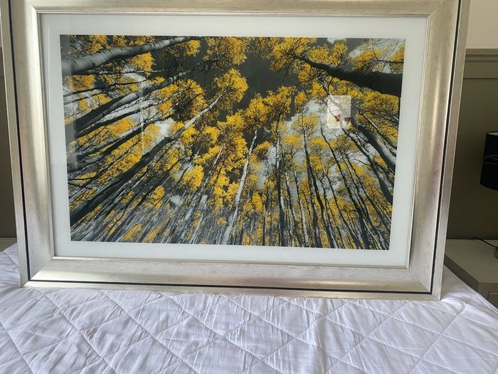 2 x pictures 105cm x 75cm