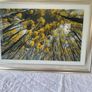2 x pictures 105cm x 75cm Image 2