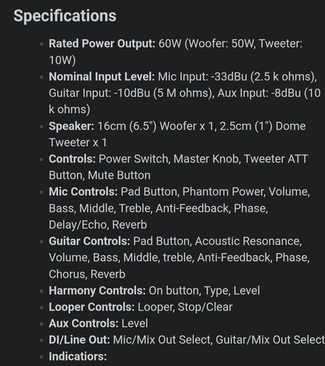 BOSS Acoustic amplifier