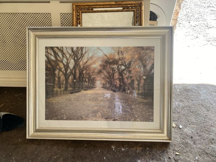 large picture with silver frame
