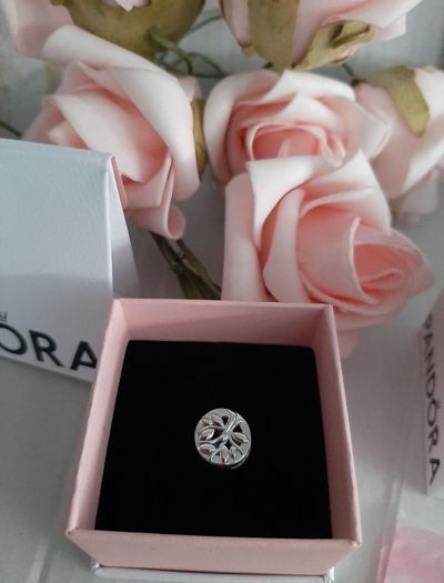 new genuine pandora reflexions charms