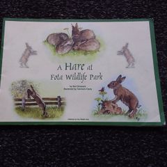 BOOK SALE ------ A Hare at Fota Wildlife Park - 2004