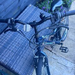 girl bike
