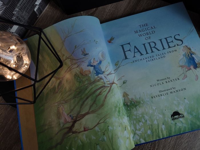The Magical World of Fairies ! Bautiful Hardcover ! 2004 ! by Armadillo !
