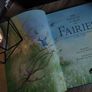 The Magical World of Fairies ! Bautiful Hardcover ! 2004 ! by Armadillo ! Image 9
