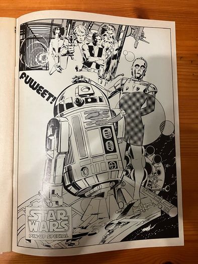 Comic: 'Star Wars Weekly' no. 29 / 1978