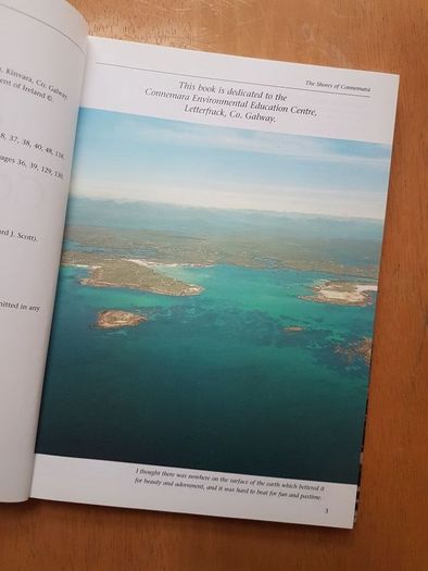 The Shores of Connemara by Seamus Mac an Iomaire