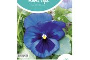 HT Pansy Alpine Lake Seeds 0.4g | Sow July - August