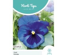 HT Pansy Alpine Lake Seeds 0.4g | Sow July - August