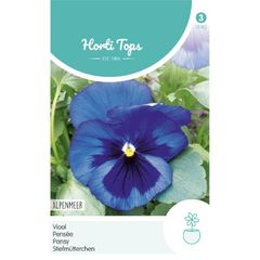 HT Pansy Alpine Lake Seeds 0.4g | Sow July - August