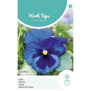 HT Pansy Alpine Lake Seeds 0.4g | Sow July - August