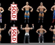 WWE Jakks Pacific Figures