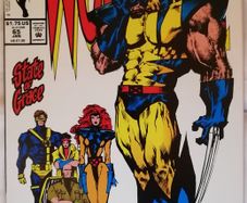 Wolverine #65 Jean Grey Appearance (1992)