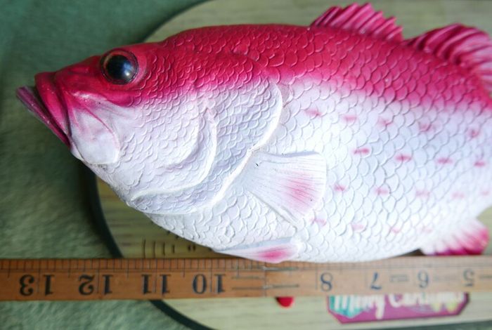 Rock King Tommy the xmas singing fish