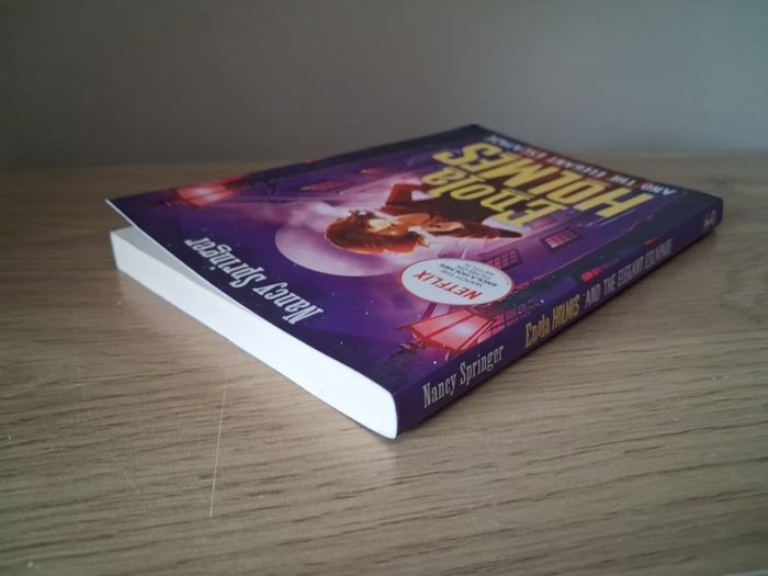 Enola Holmes Book