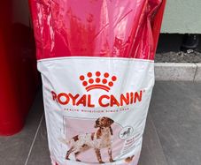 Dog Food