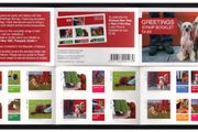 2006 Ireland Greetings (Chinese Year of the Dog) Commemorative Stamp Booklet Mint Never Hinged (MNH)