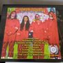 MOON GOONS Lady Of Many Faces RARE Splatter Vinyl LP Limited 150 Psychedelic Rock Collector Free viewing Image 3