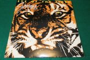 Survivor Eye Of The Tiger 1982 Uk Pressing Lp
