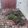 Free Topsoil Image 3