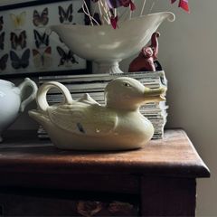 duck teapot