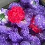 Faux funeral flowers Image 2