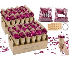 Biodegradable confetti