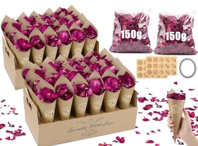 Biodegradable confetti