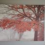 Nice canvas print Image 2