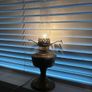 Vintage Aladdin brass oil lamp converted electric Image 2