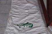 Carlsberg Lager Promotional Advertising Hammock