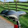 Carrera bike. Cycle Hybrid bike Image 7