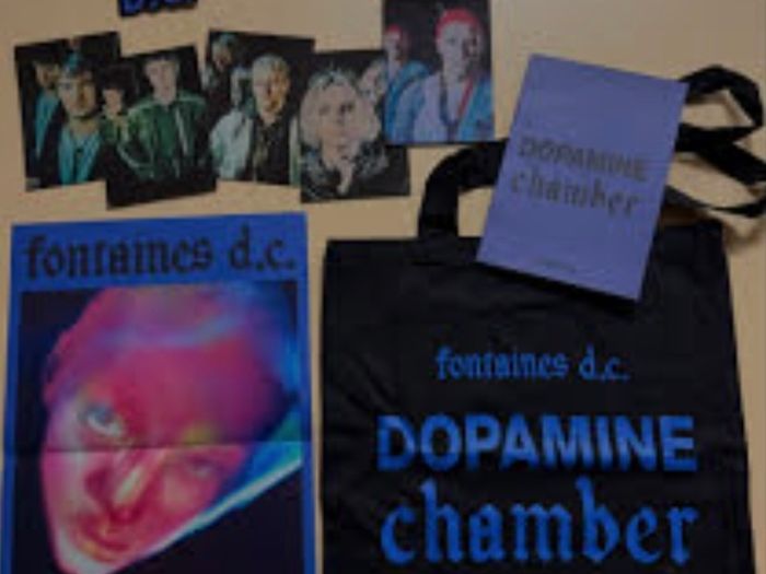 Fontaines DC Where is Gone white label 7" very limited & goodie bag