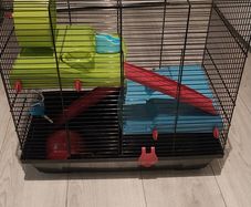 Dwarf hampster cage large