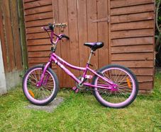 20 Inch Verve Cool Bike Metallic Purple