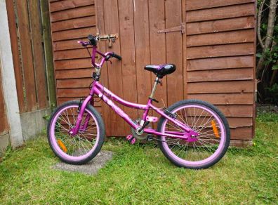20 Inch Verve Cool Bike Metallic Purple