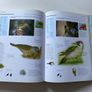 Birds (also published as Encyclopedia of Birds) Image 5