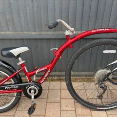 Weeride Propilot Tagalong Bike