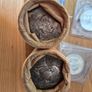 Investment Grade: 2x SEALED Rolls 1966 Silver 10 Shillings (Pearse) Image 2