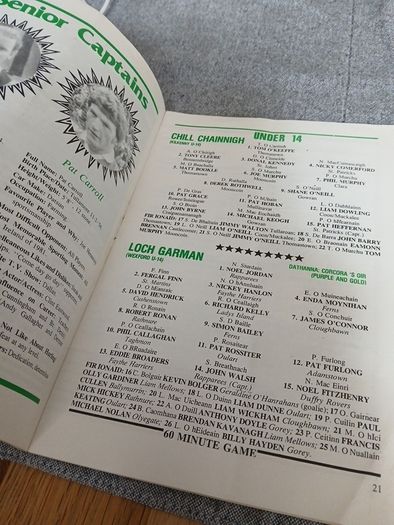 1982 Leinster Hurling final programme