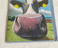 Eoin O'Connor "big nose" print or greeting card 2013