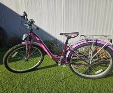 Girls bike 24"