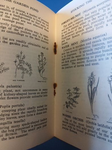 Vintage Garden Pond booklet
