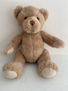 Fluffy brown teddie